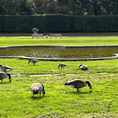 Toplage An Messe * דיסלדורף